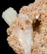Peach Stilbite Crystal Cluster - India #44304-2